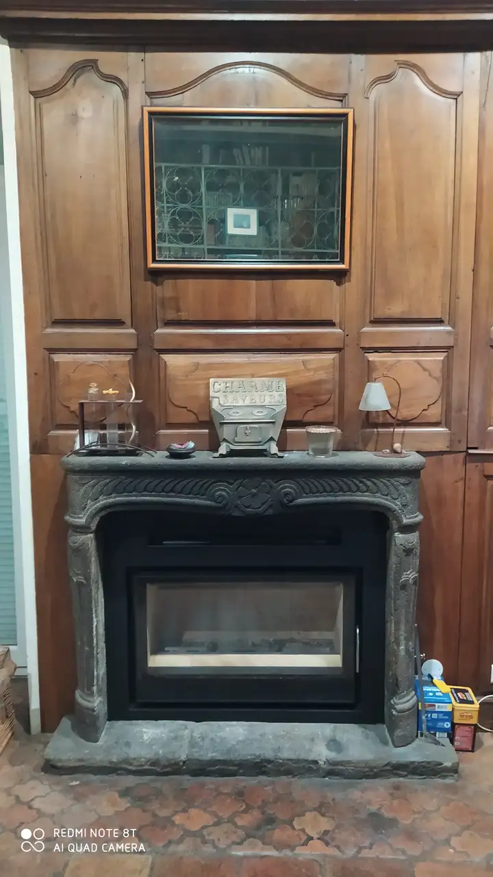 Insert Bodart & Gonay Infire Smart 950