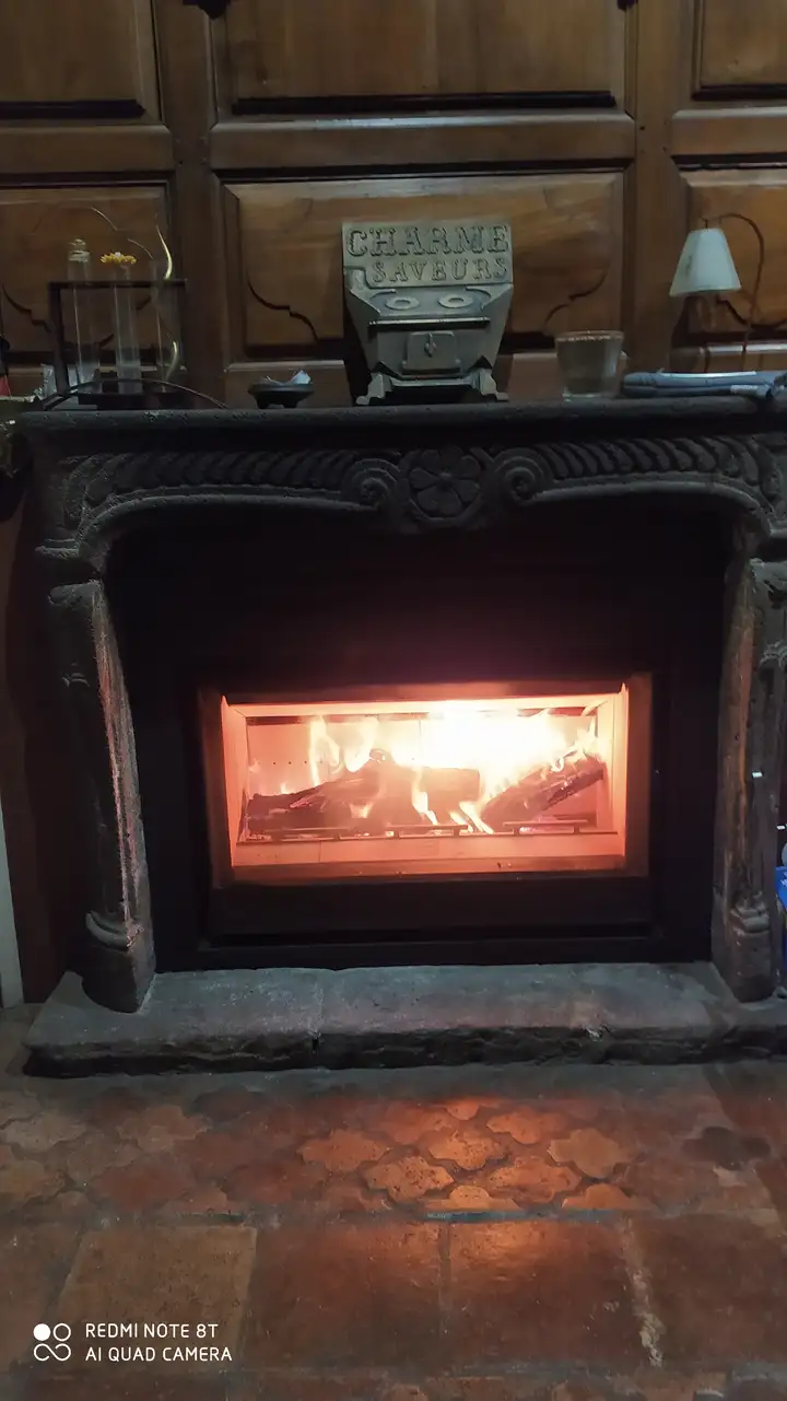 Insert Bodart & Gonay Infire Smart 950