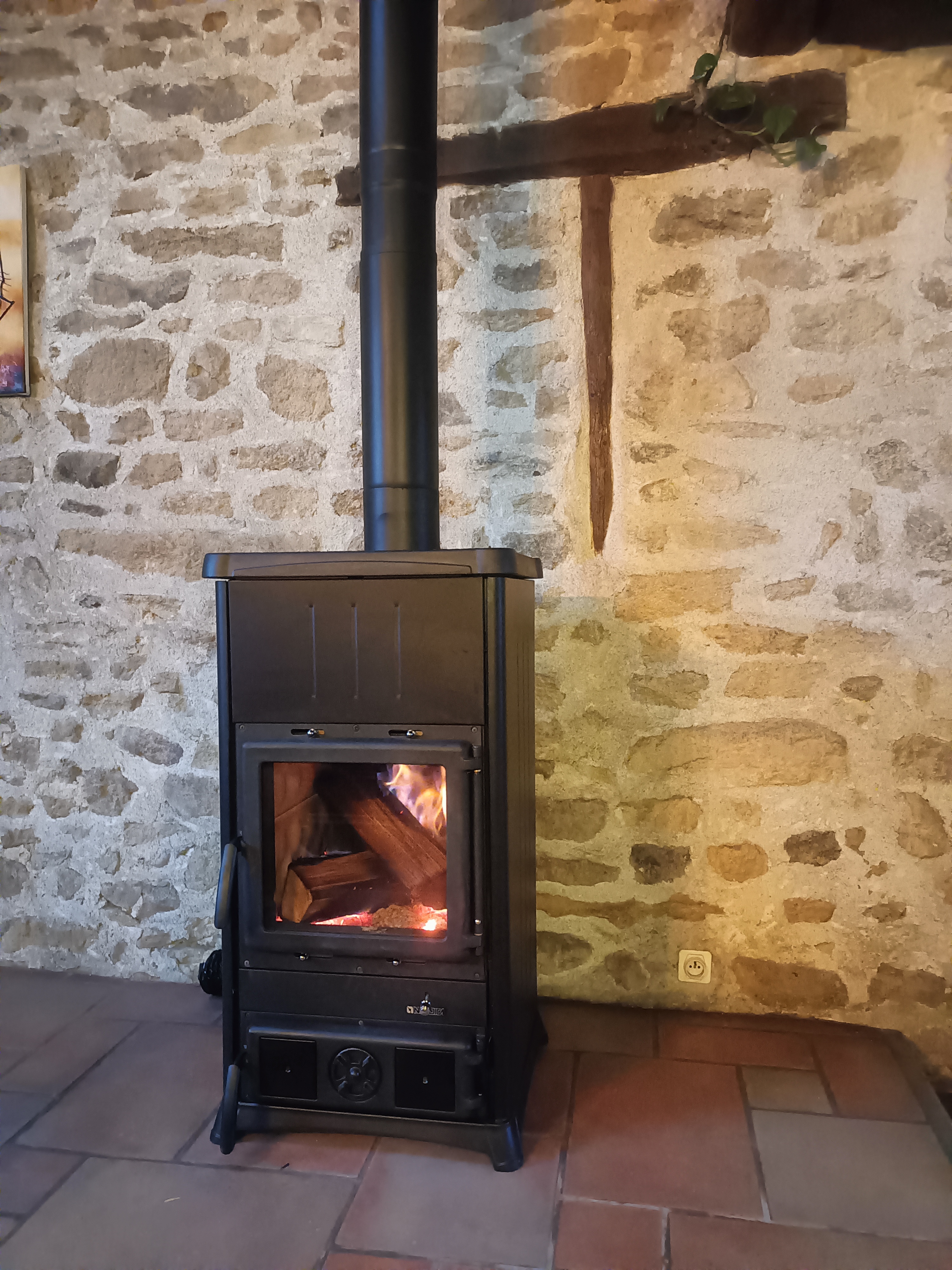 Poêle Conchita steel 2.0